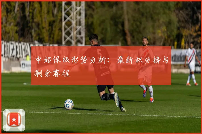 中超保级形势分析:最新积分榜与剩余赛程