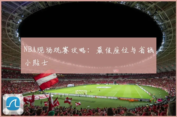 NBA现场观赛攻略：最佳座位与省钱小贴士